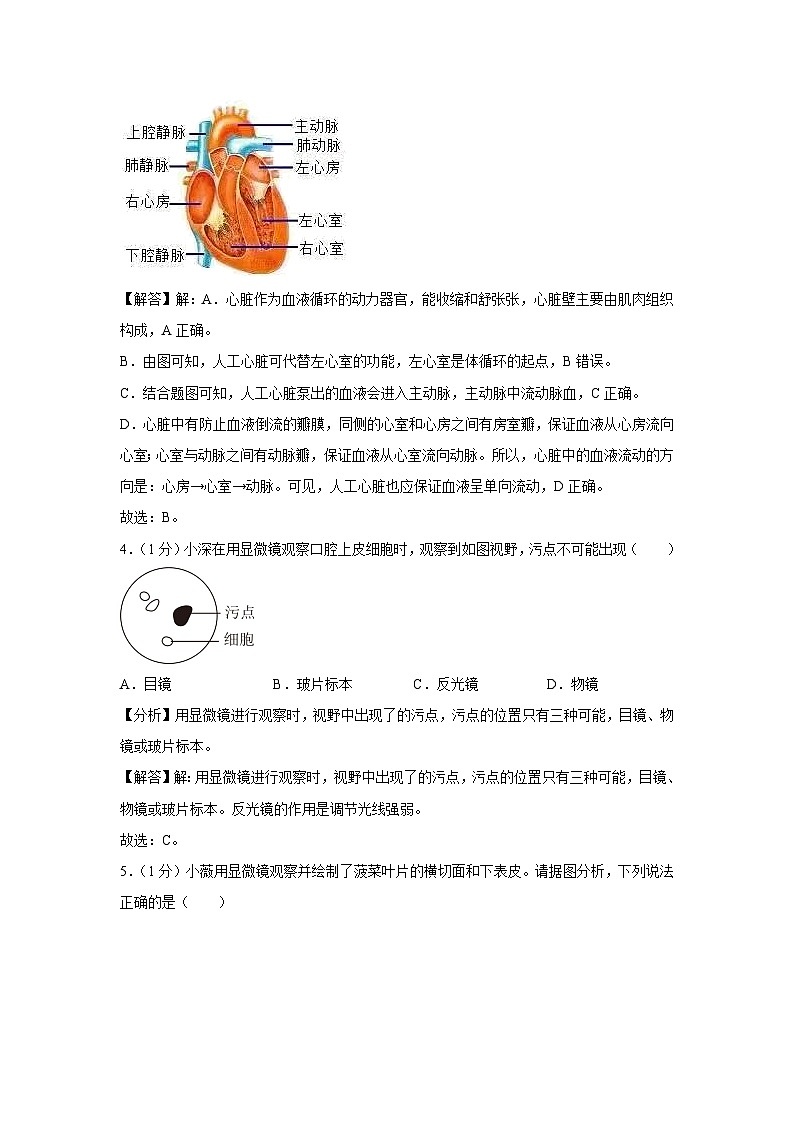 2024年中考考前最后一卷(山西卷)生物试卷(解析版)第3页