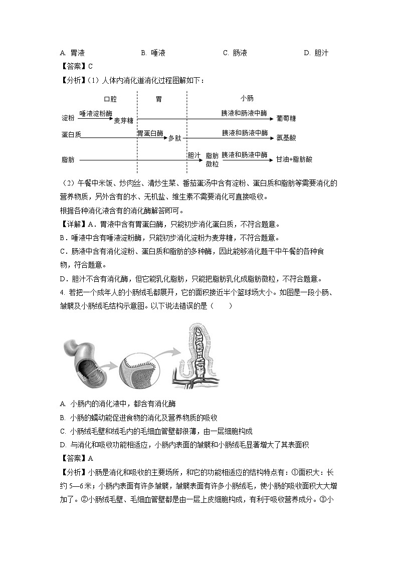 广西壮族自治区崇左市宁明县2023-2024学年七年级下学期期中生物试卷(解析版)第2页