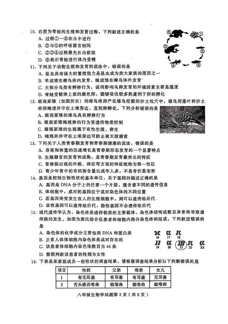 山东省潍坊市诸城市2024-2025学年八年级上学期11月期中考试生物试题03