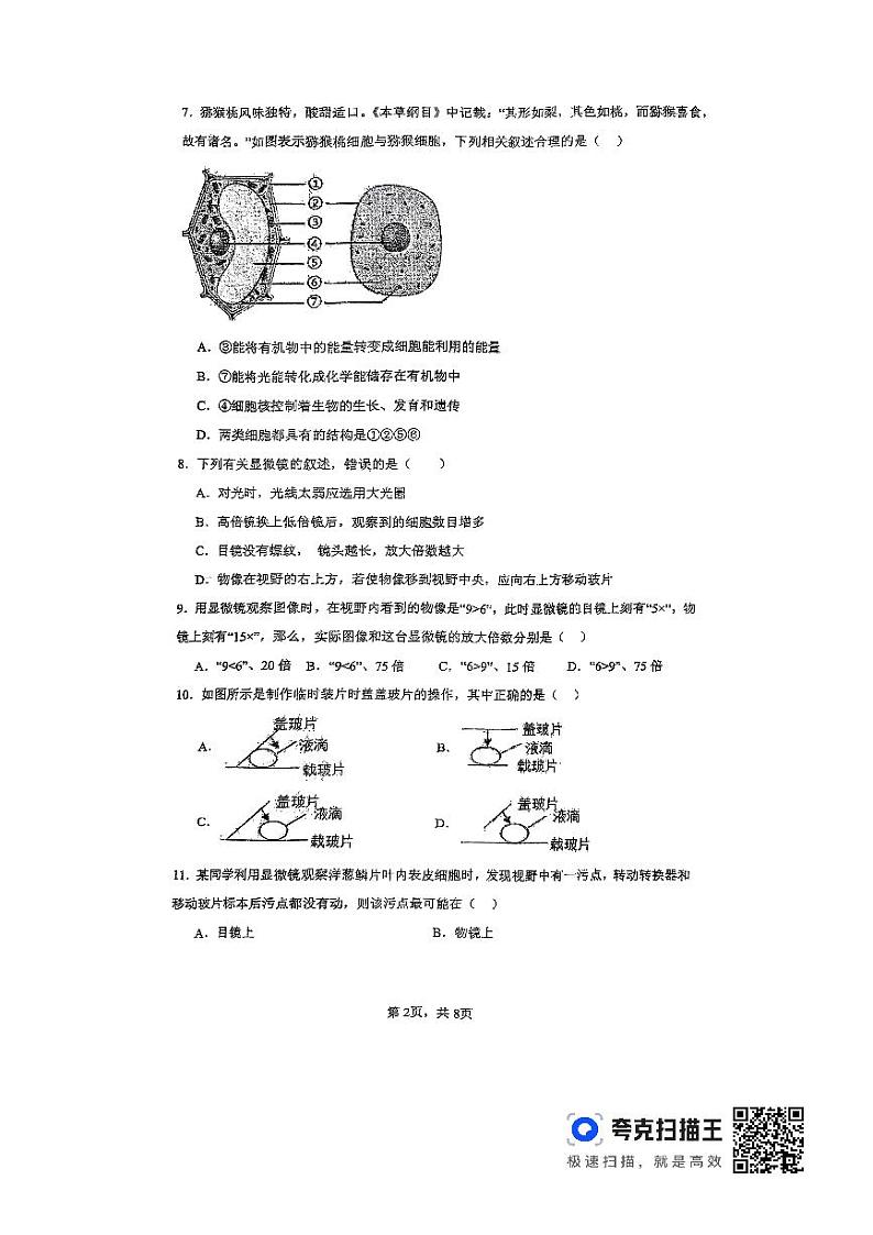 2024年秋季七年级生物期中测试卷第2页