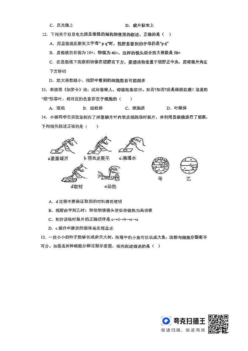 2024年秋季七年级生物期中测试卷第3页