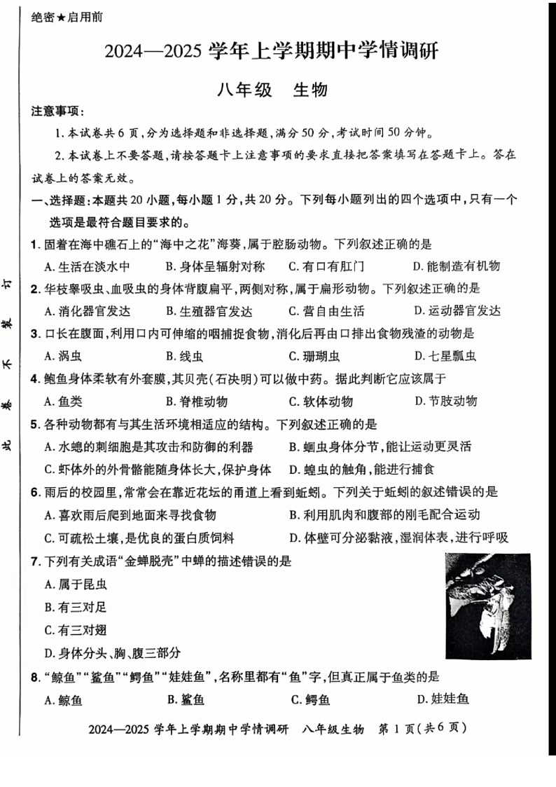 河南省郑州市登封市嵩阳中学2024--2025学年八年级生物上学期期中考试卷 第1页