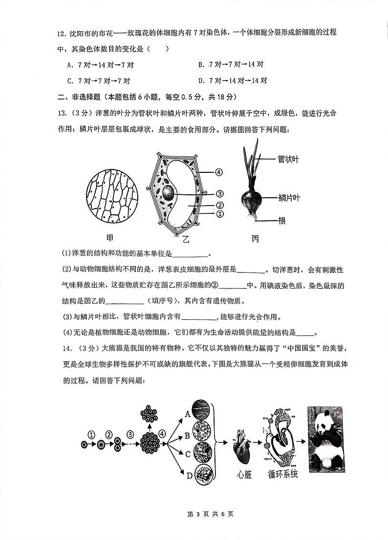 辽宁省沈阳市铁西区2024-2025学年七年级上学期11月期中生物试题03