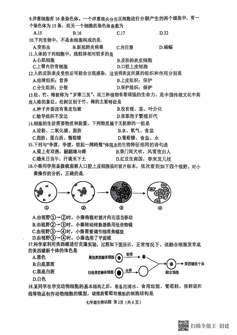 山东省日照市莒县2024-2025学年七年级上学期期中考试生物试题第2页