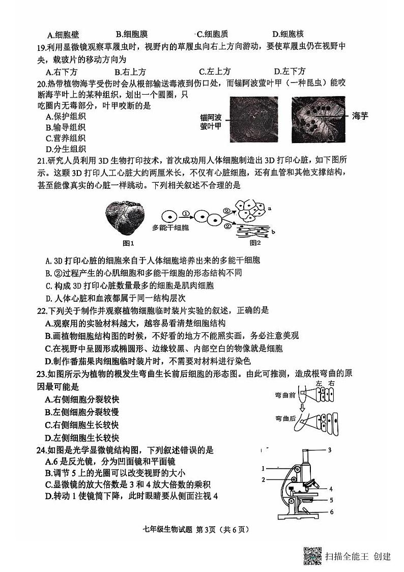 山东省日照市莒县2024-2025学年七年级上学期期中考试生物试题第3页