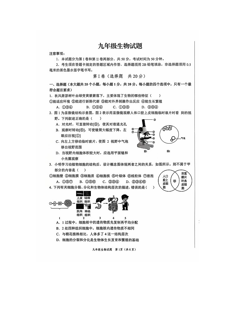 山东省菏泽市经济技术开发区2024-2025学年九年级生物上学期11月期中试题第1页