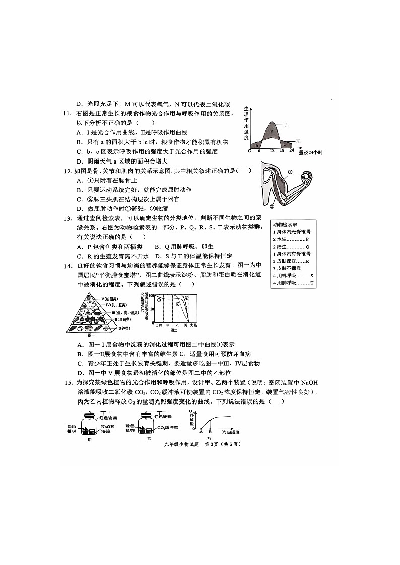 山东省菏泽市经济技术开发区2024-2025学年九年级生物上学期11月期中试题第3页