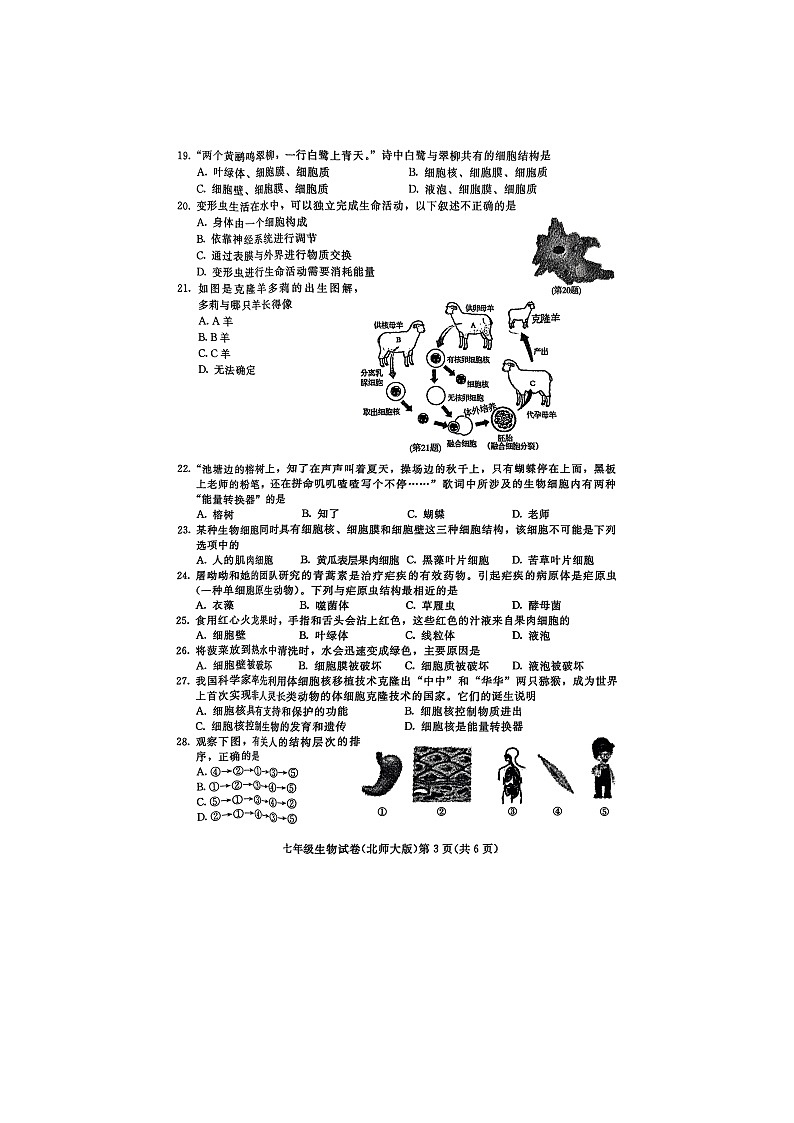七年级生物第3页