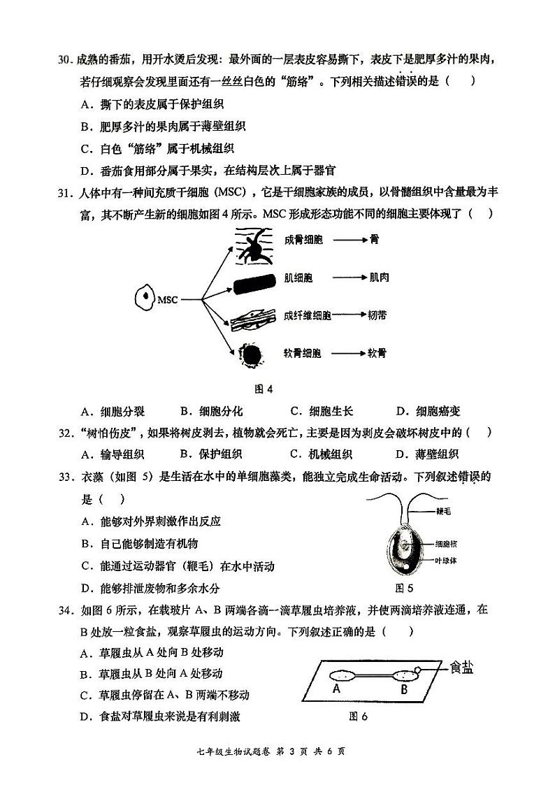 广西梧州市岑溪市糯垌中学2024-2025学年七年级上学期期中生物试卷02
