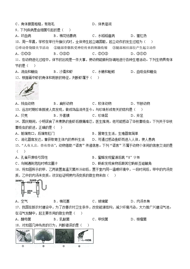 陕西省咸阳市三原县2024-2025学年八年级上学期期中生物试题第2页