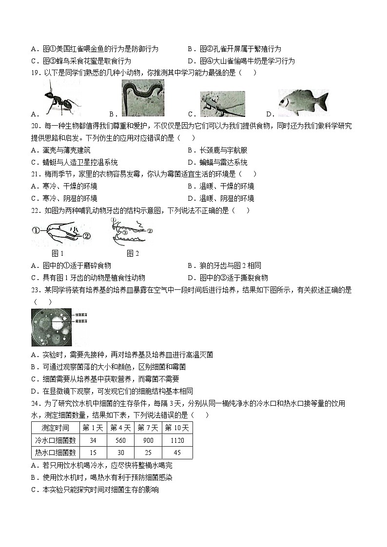 陕西省咸阳市三原县2024-2025学年八年级上学期期中生物试题第3页