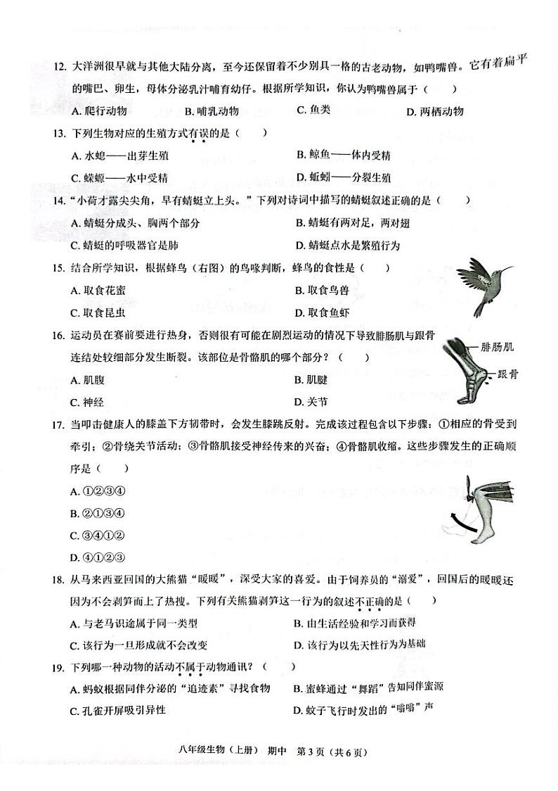202411期中八年级生物第3页