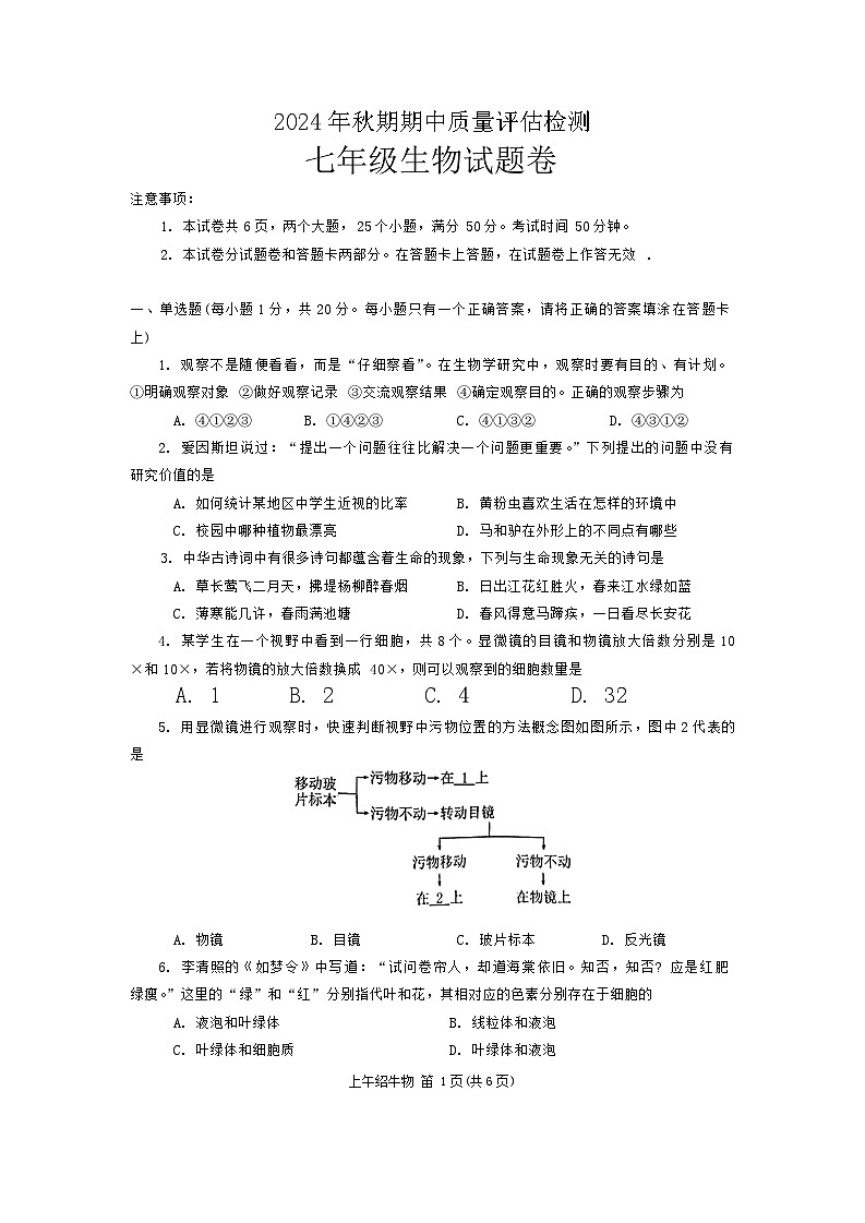 河南省南阳市2024-2025学年七年级上学期11月期中考试生物试题第1页