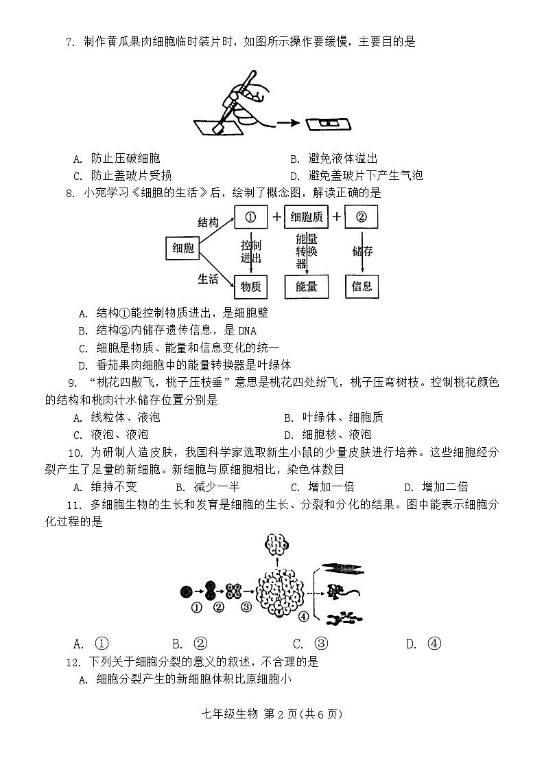 河南省南阳市2024-2025学年七年级上学期11月期中考试生物试题第2页