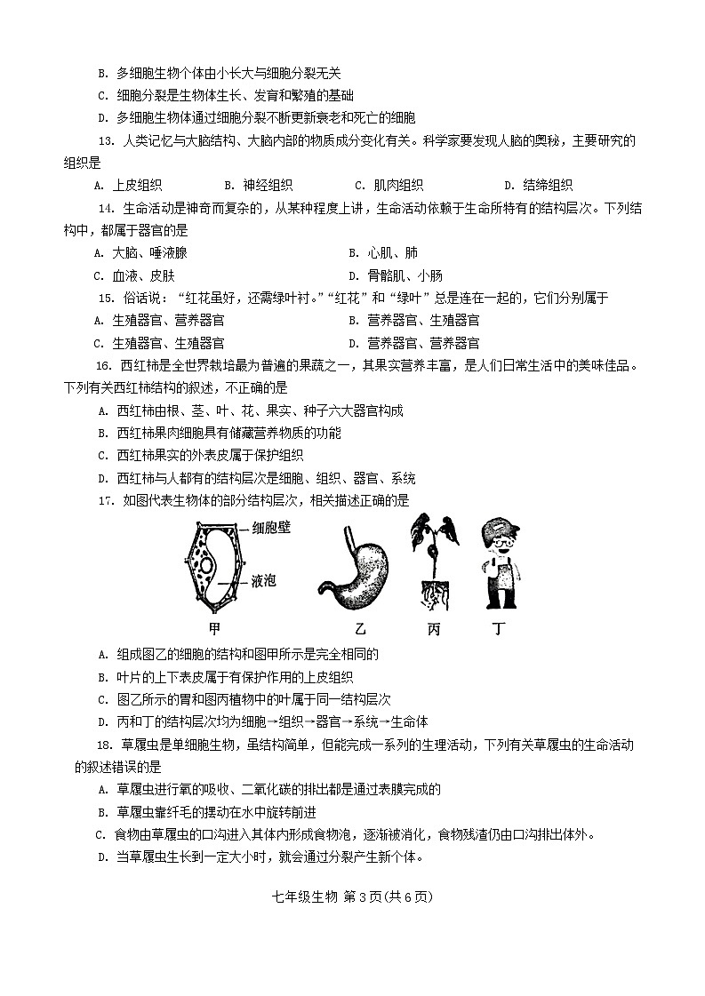 河南省南阳市2024-2025学年七年级上学期11月期中考试生物试题第3页