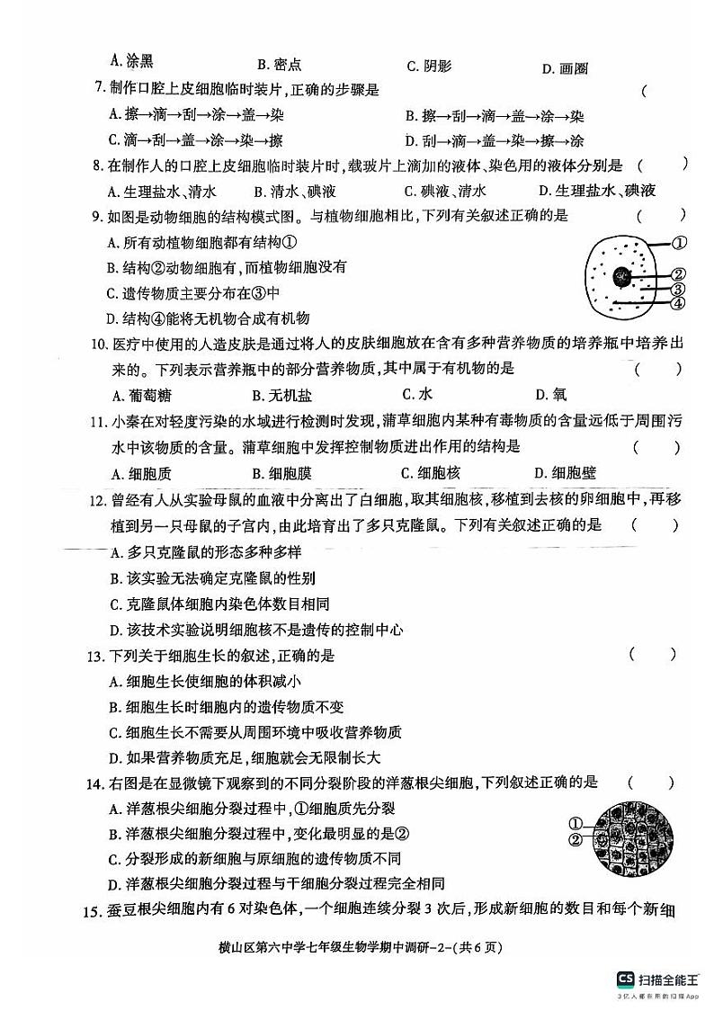 陕西省榆林市横山区第六中学2024-2025学年七年级上学期期中调研生物试卷第2页