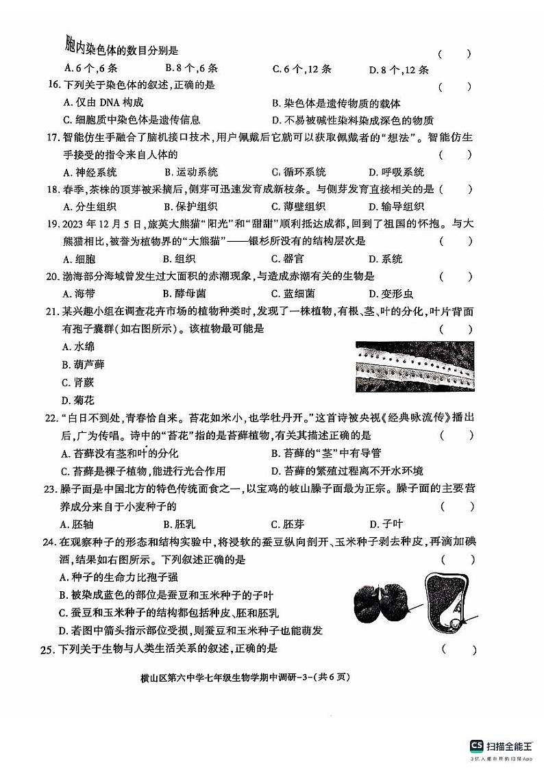陕西省榆林市横山区第六中学2024-2025学年七年级上学期期中调研生物试卷第3页