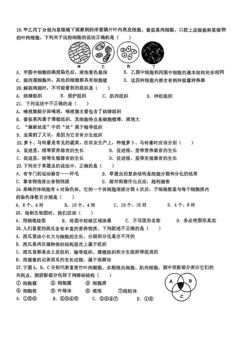 海南省海口市龙华区2024-2025学年七年级上学期期中检测生物试题第3页