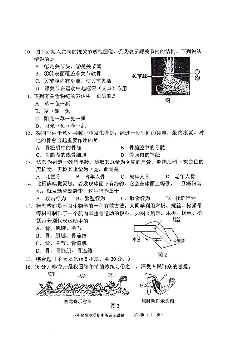 广西河池市宜州区2024-2025学年八年级上学期期中考试生物试卷第2页