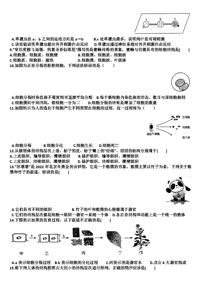 山东济南天桥区2024—2025学年七年级生物第一学期期中考试试题（含答案）第2页