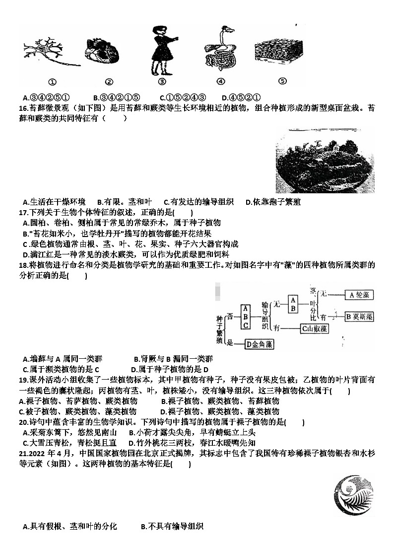 山东济南天桥区2024—2025学年七年级生物第一学期期中考试试题（含答案）第3页