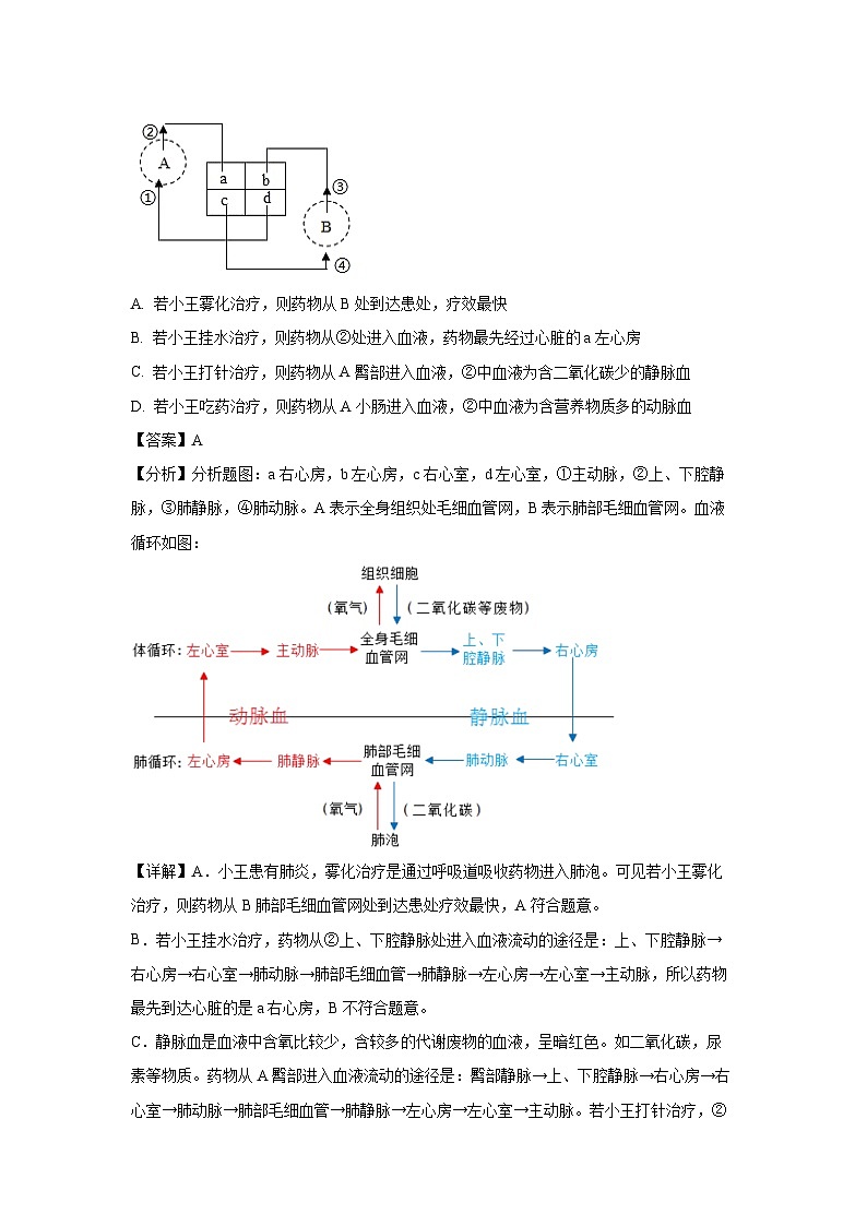 江苏省南通市通州区2023-2024学年八年级上学期期末生物试卷[解析版]02