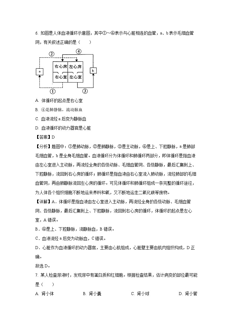 江苏省宿迁市泗洪县2023-2024学年八年级上学期期末学生物试卷[解析版]第3页