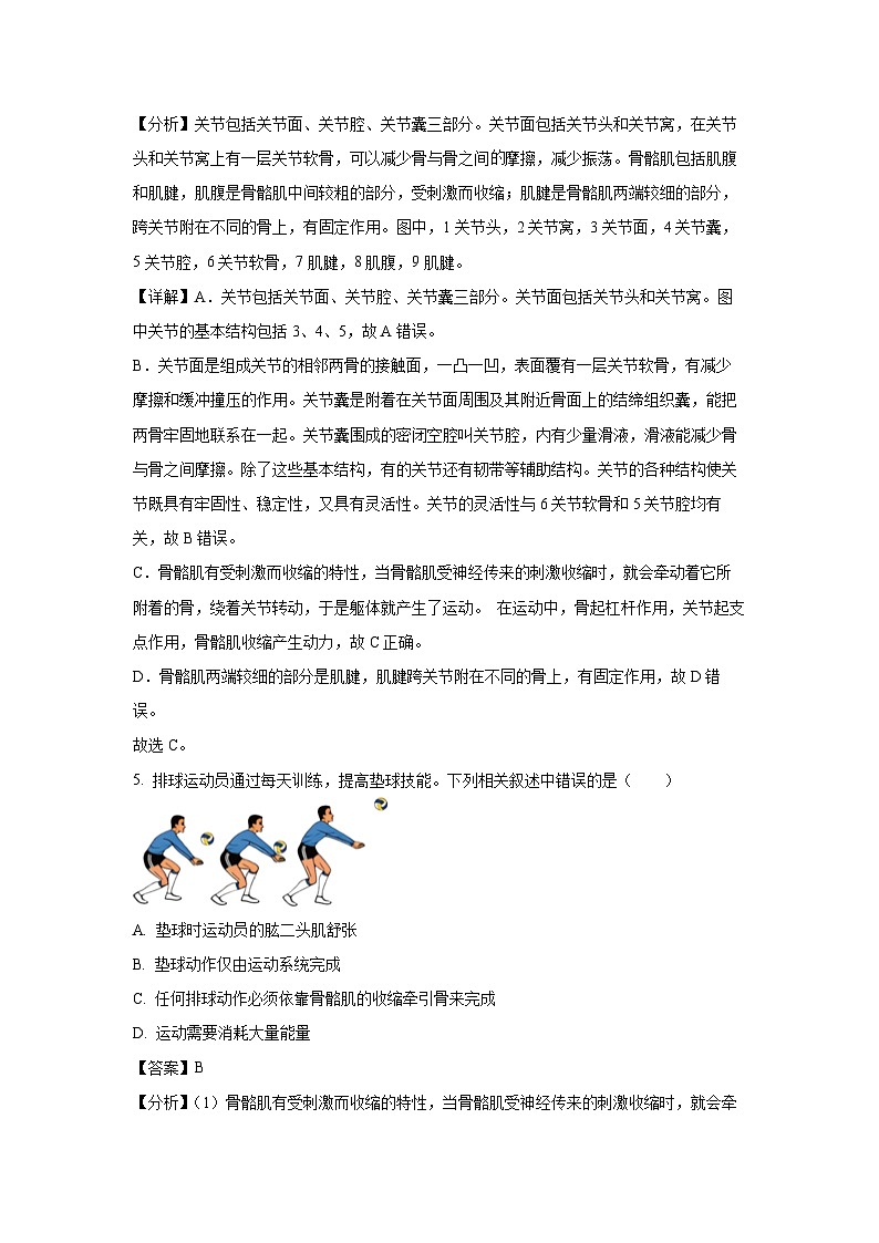 江苏省宿州市灵璧县2024-2025学年八年级上学期第一次月月考考生物试卷[解析版]第3页