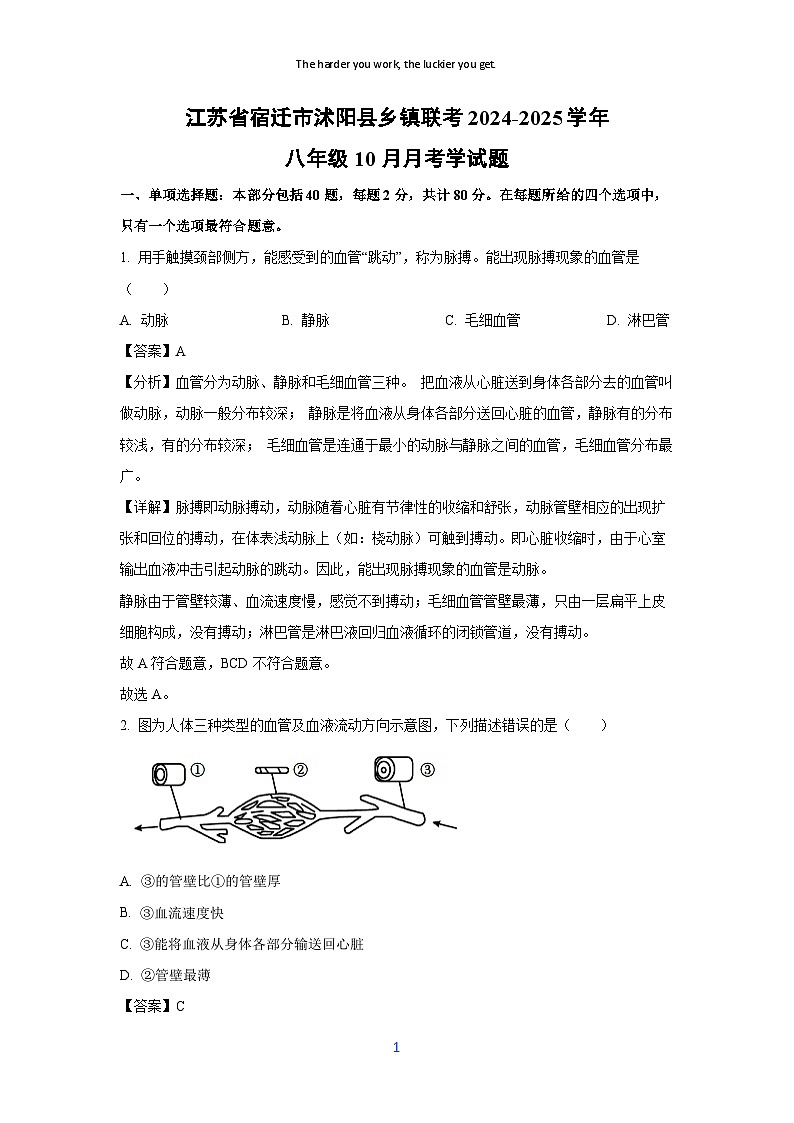 江苏省宿迁市沭阳县乡镇联考2024-2025学年八年级上学期10月月考考学生物试卷[解析版]第1页