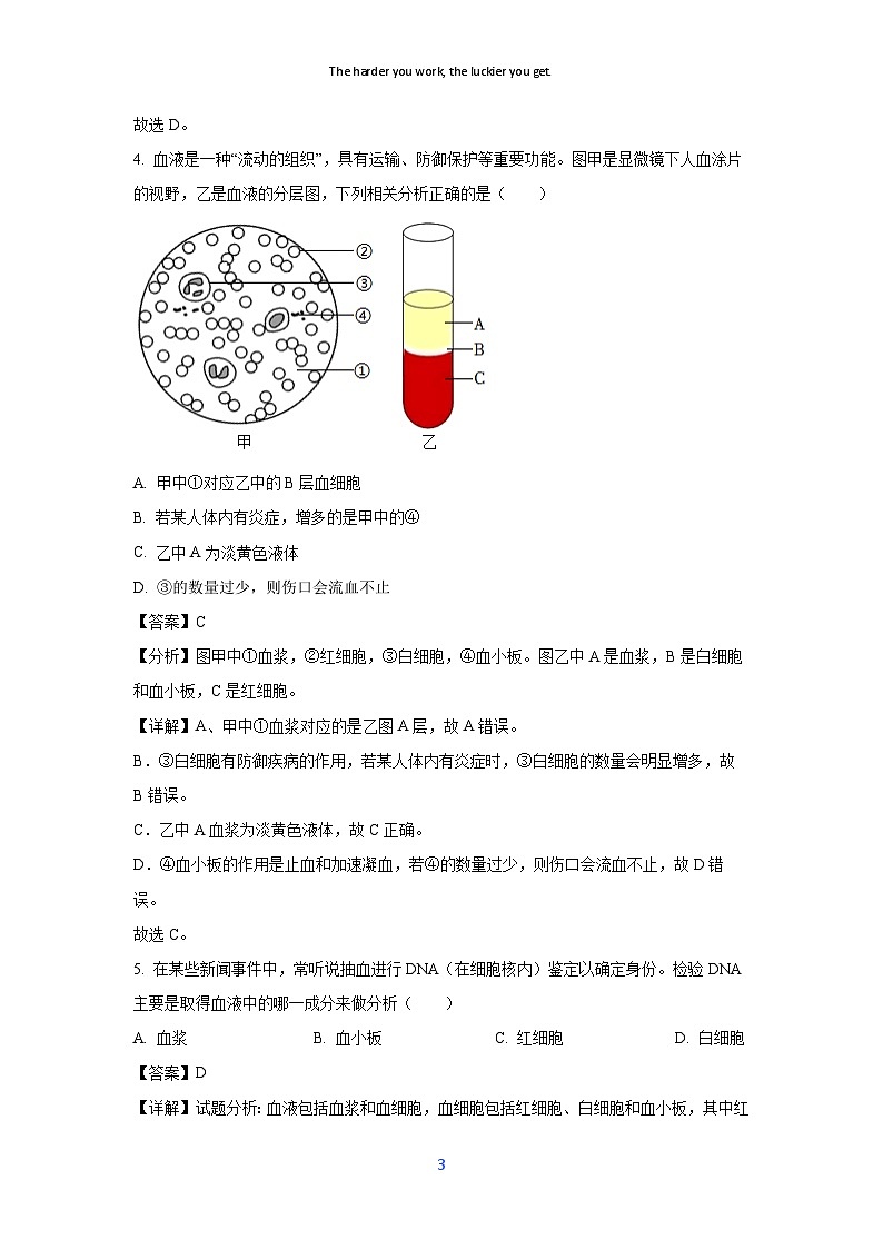 江苏省宿迁市沭阳县乡镇联考2024-2025学年八年级上学期10月月考考学生物试卷[解析版]第3页