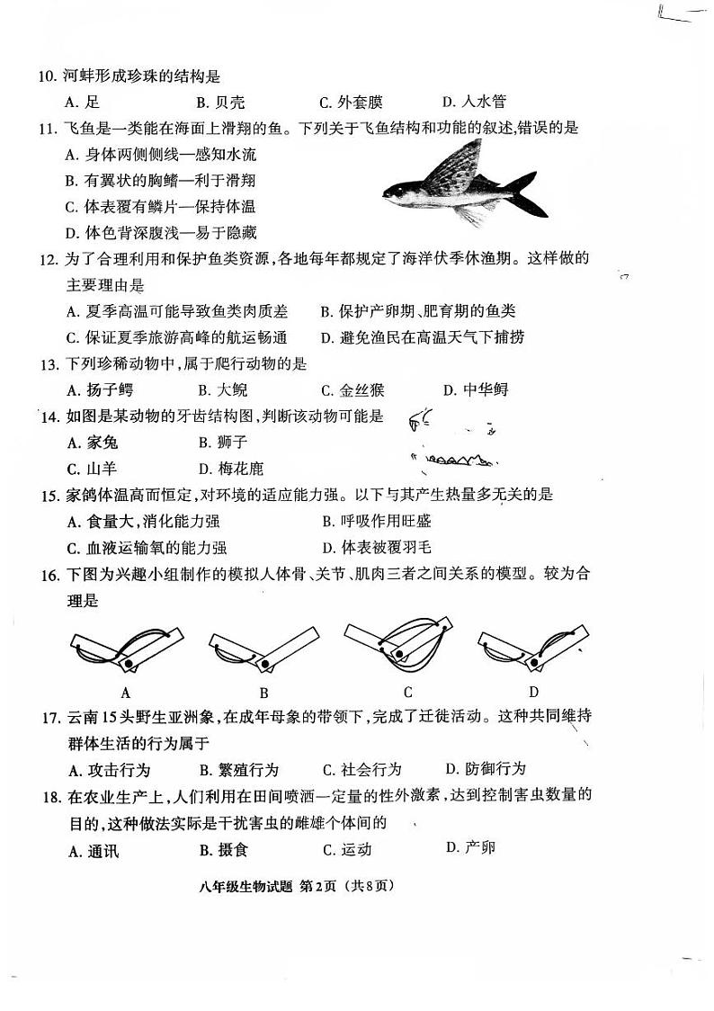 福建省三明市三元区2024-2025学年八年级上学期11月期中生物试题第2页