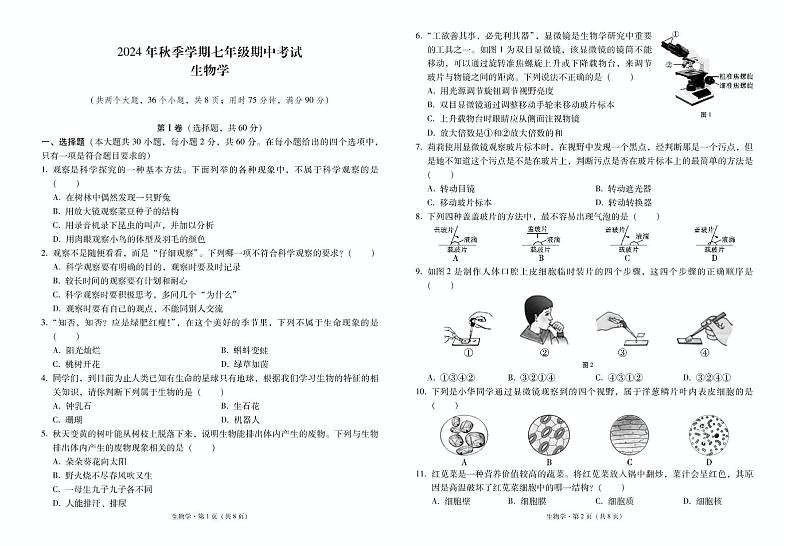 云南省昭通市威信县2024-2025学年七年级上学期期中考试生物试卷01
