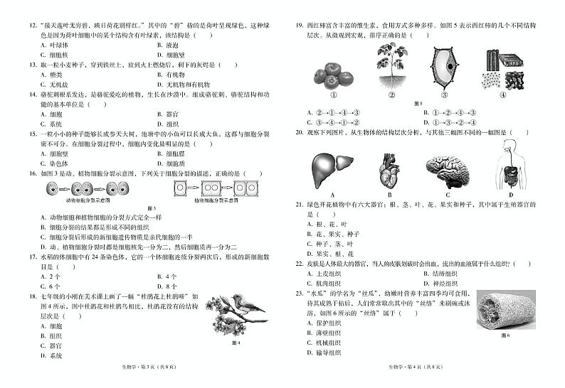云南省昭通市威信县2024-2025学年七年级上学期期中考试生物试卷02