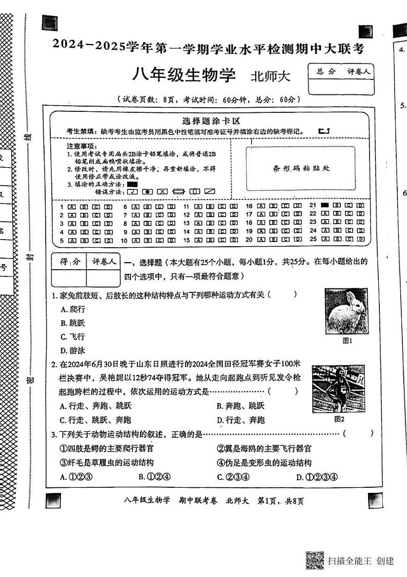 河北省廊坊市广阳区2024-2025学年八年级上学期11月期中生物试题第1页