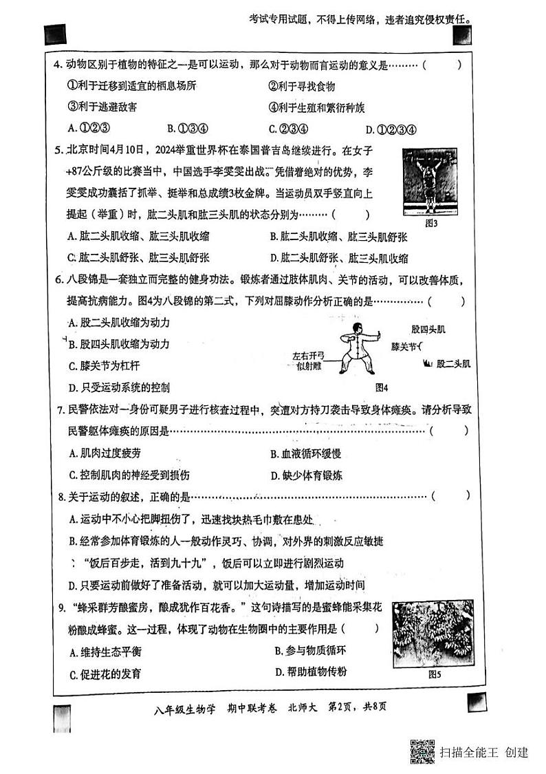 河北省廊坊市广阳区2024-2025学年八年级上学期11月期中生物试题第2页