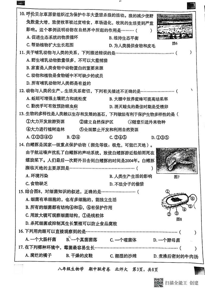 河北省廊坊市广阳区2024-2025学年八年级上学期11月期中生物试题第3页