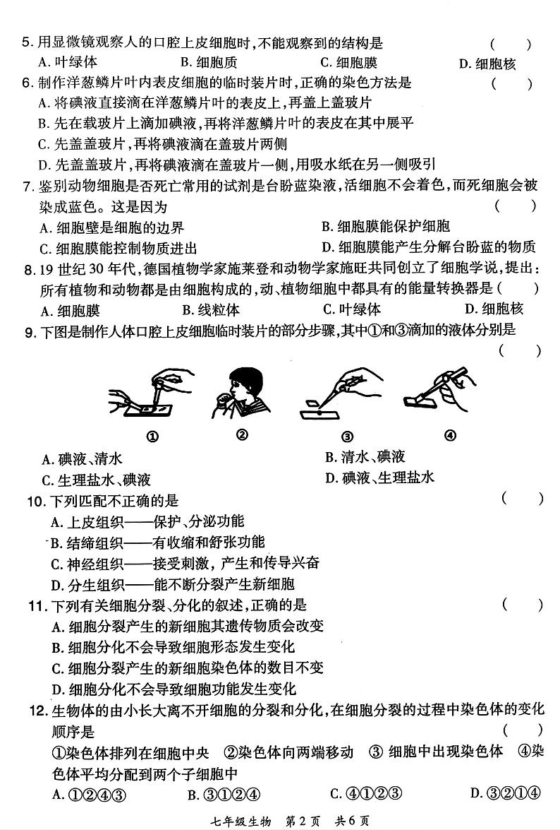 河南省洛阳市老城区2024-2025学年七年级上学期11月期中生物试题第2页