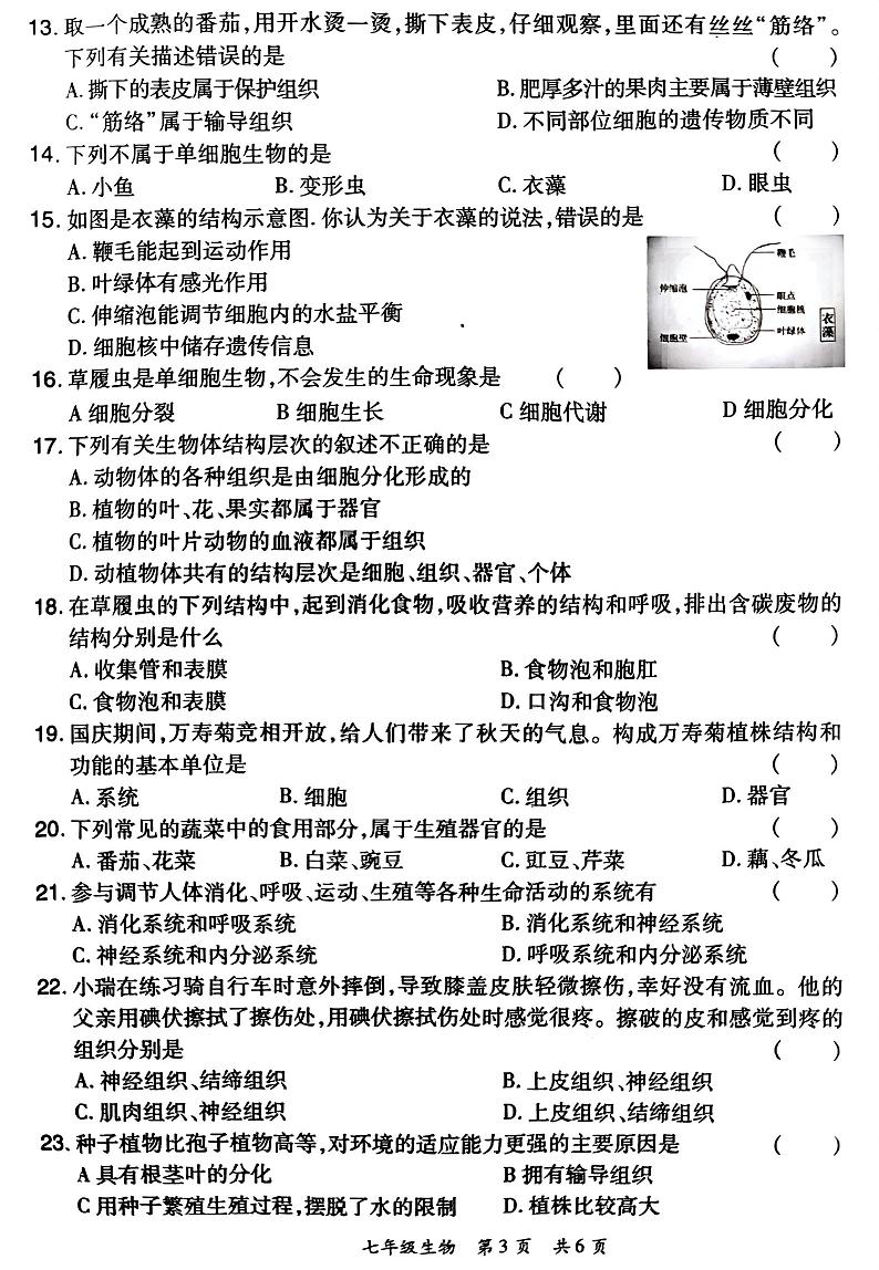 河南省洛阳市老城区2024-2025学年七年级上学期11月期中生物试题第3页