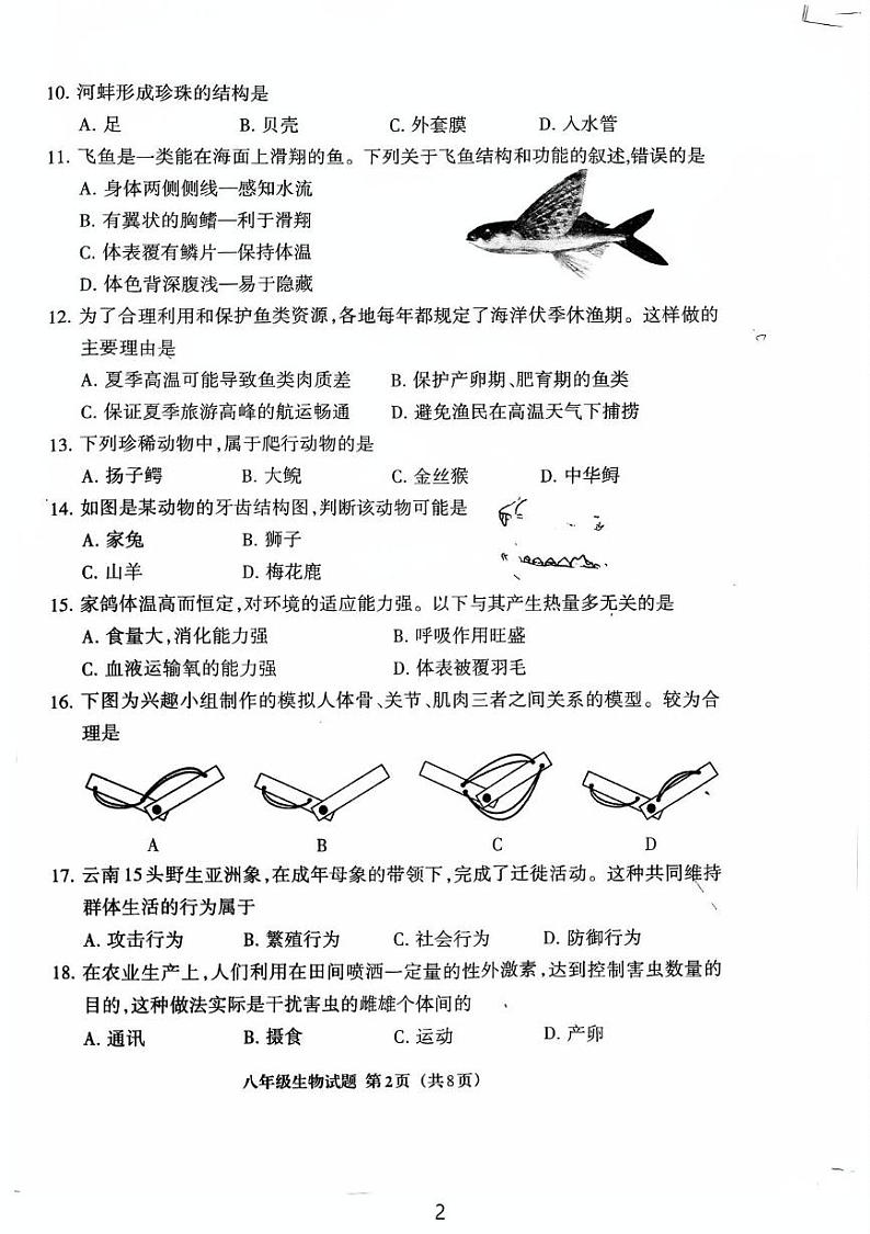 福建省三明市三元区2024-2025学年八年级上学期11月期中生物试题第2页