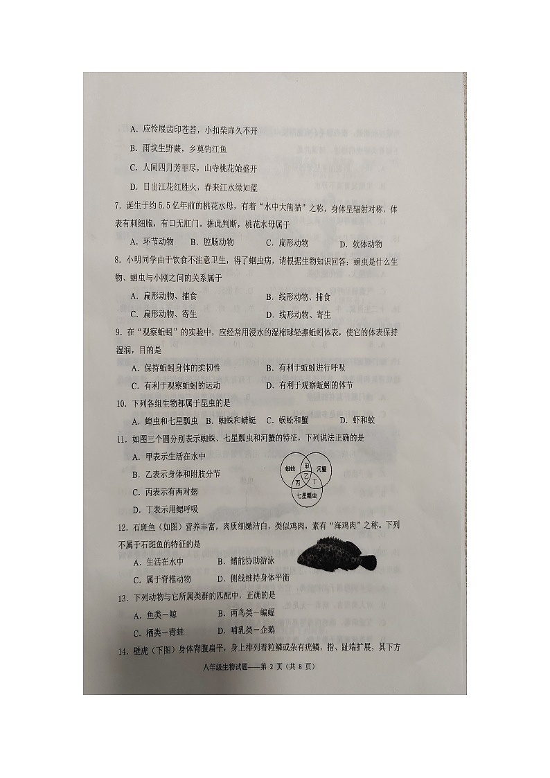 云南省大理州下关第一中学初中部教育集团2024-2025学年八年级上学期期中检测生物试卷02