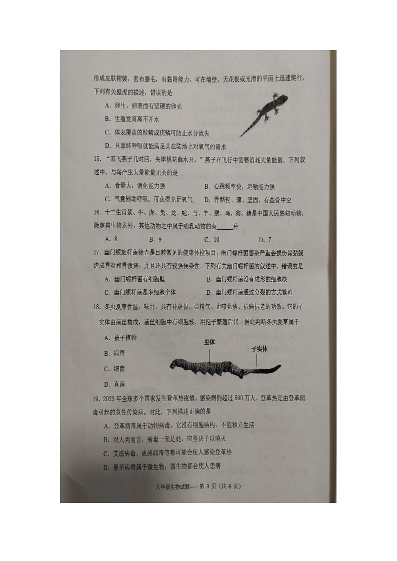 云南省大理州下关第一中学初中部教育集团2024-2025学年八年级上学期期中检测生物试卷03