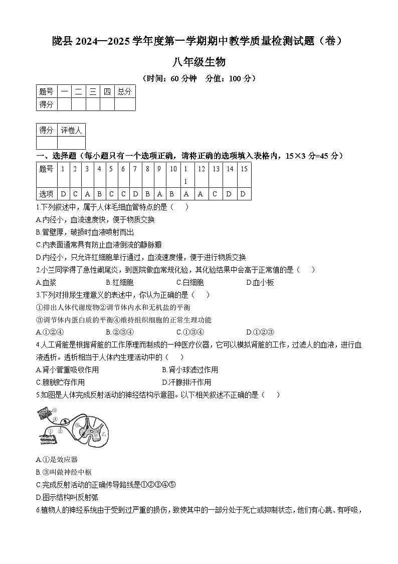陕西省宝鸡市陇县2024-2025学年八年级上学期期中生物学试题01