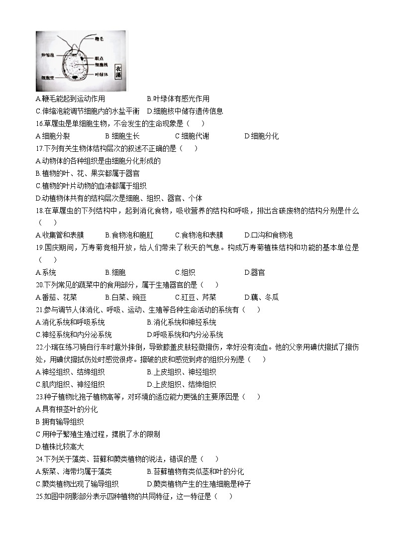 河南省洛阳市老城区2024-2025学年七年级上学期期中生物试题第3页