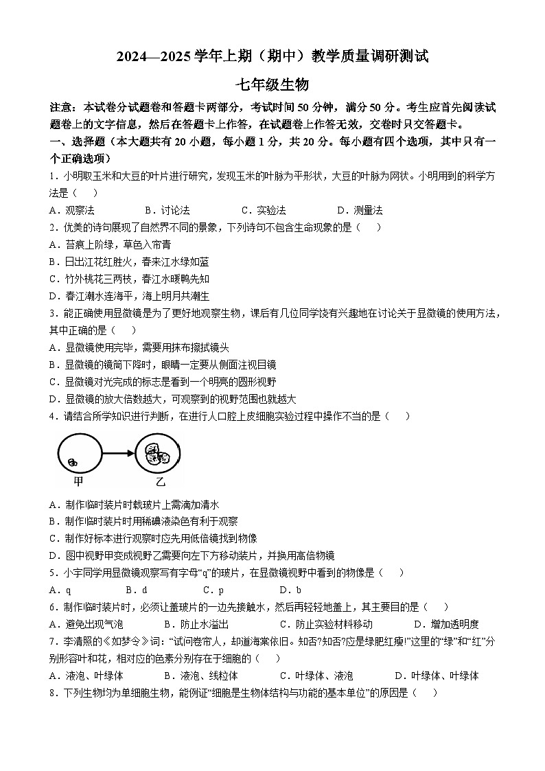 河南省鹤壁市2024-2025学年七年级上学期期中生物试题第1页
