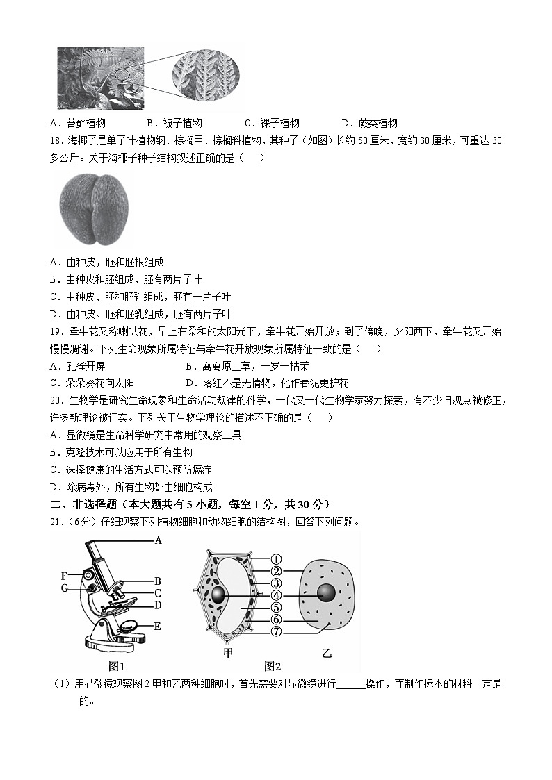 河南省鹤壁市2024-2025学年七年级上学期期中生物试题第3页