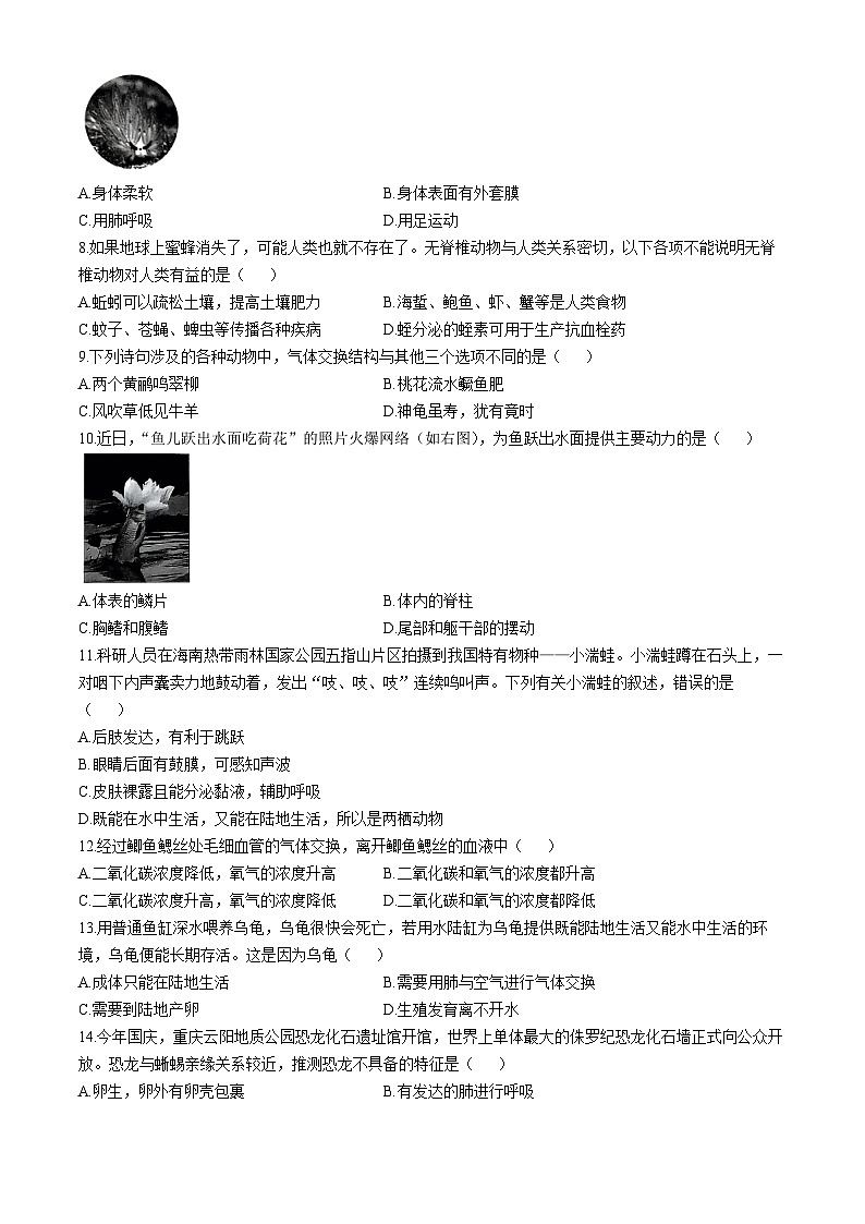 广东省深圳市33校联考2024-2025学年八年级上学期期中生物试题(无答案)02