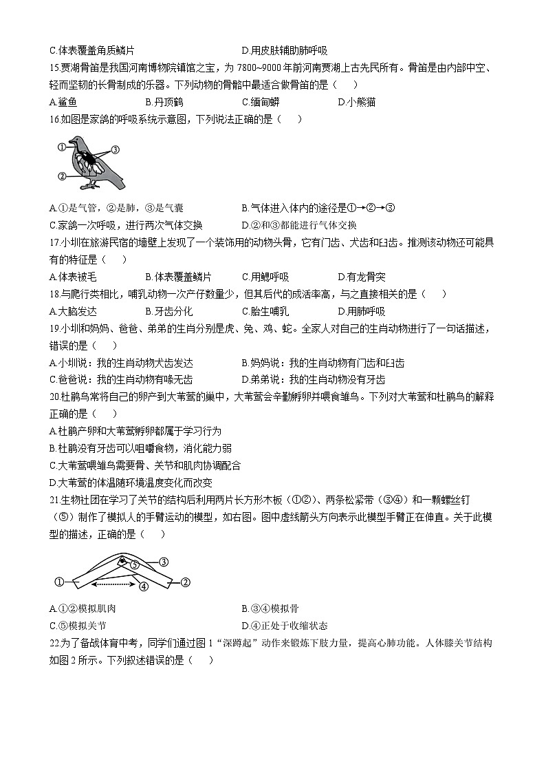 广东省深圳市33校联考2024-2025学年八年级上学期期中生物试题(无答案)03