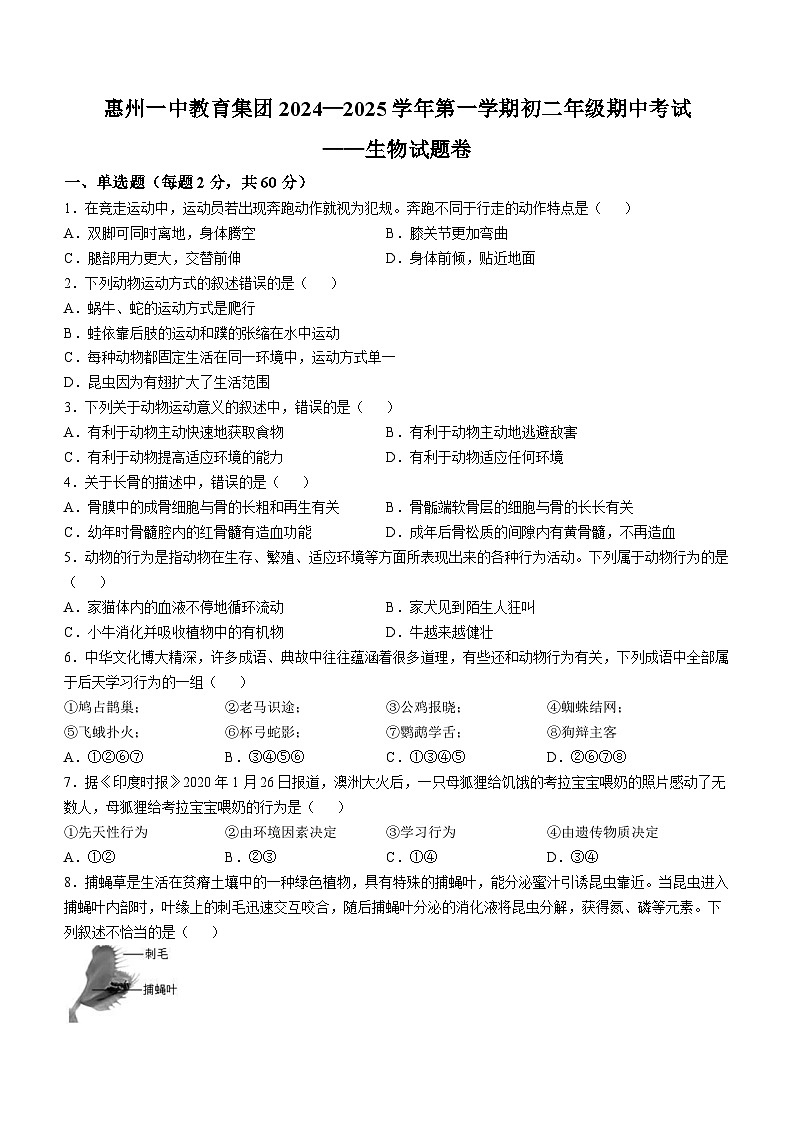 广东省惠州市第一中学集团学校2024-2025学年八年级上学期期中生物试题第1页
