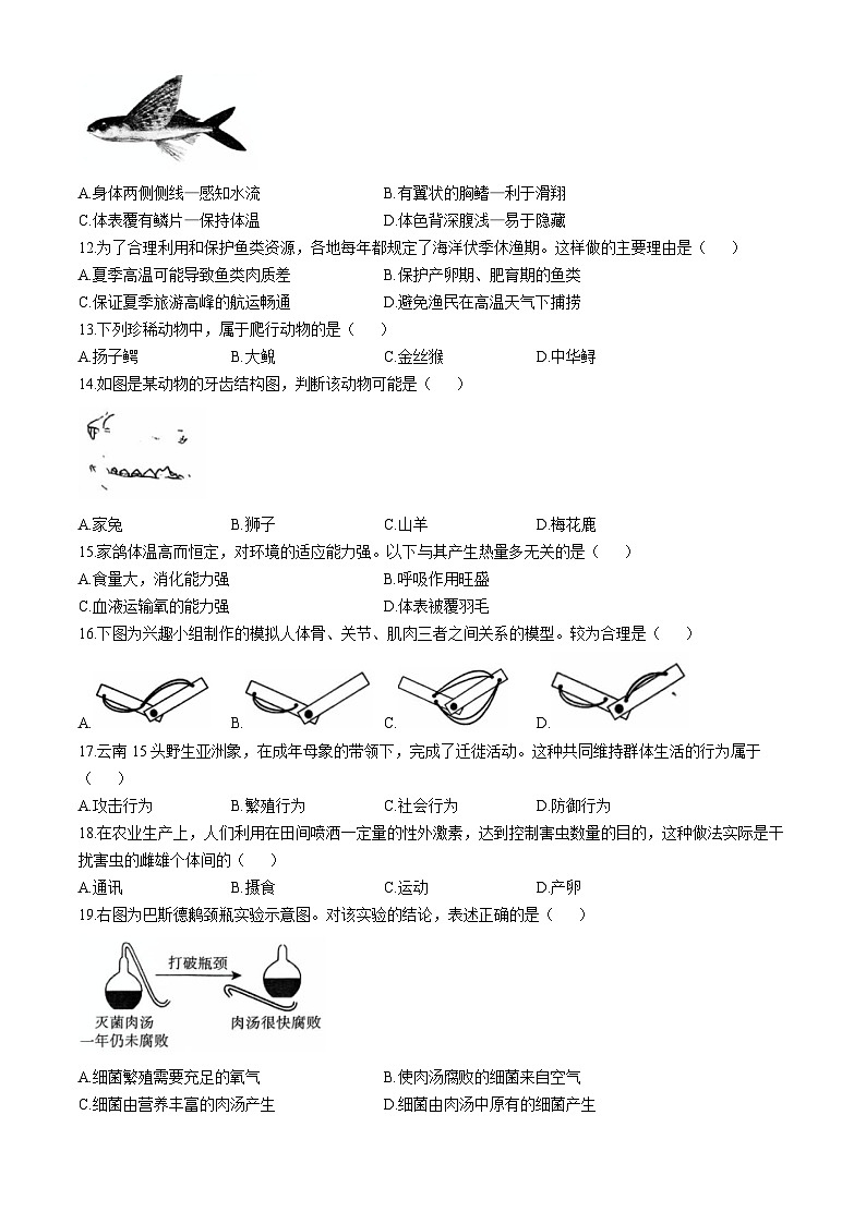 福建省三明市三元区2024-2025学年八年级上学期期中生物试题第2页