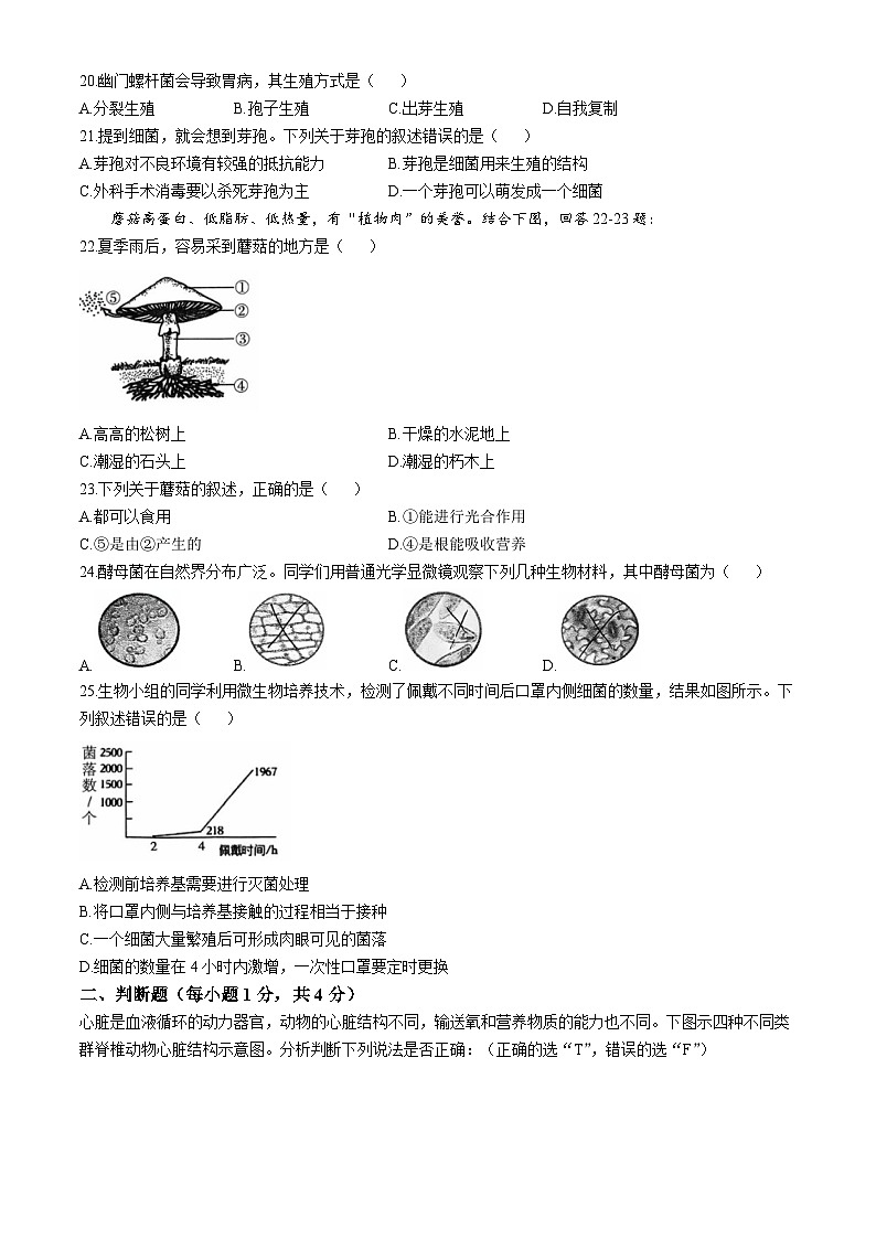 福建省三明市三元区2024-2025学年八年级上学期期中生物试题第3页